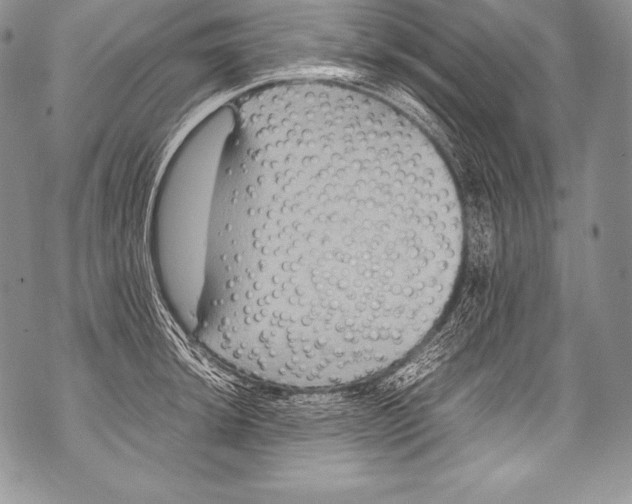 X0000071861044200607290152