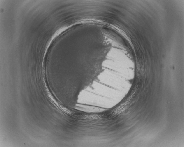 X0000071861045200607290152