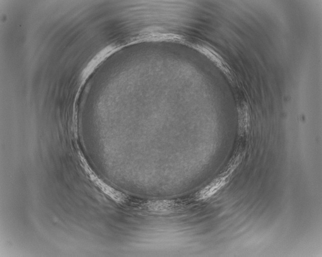 X0000071861046200607290152