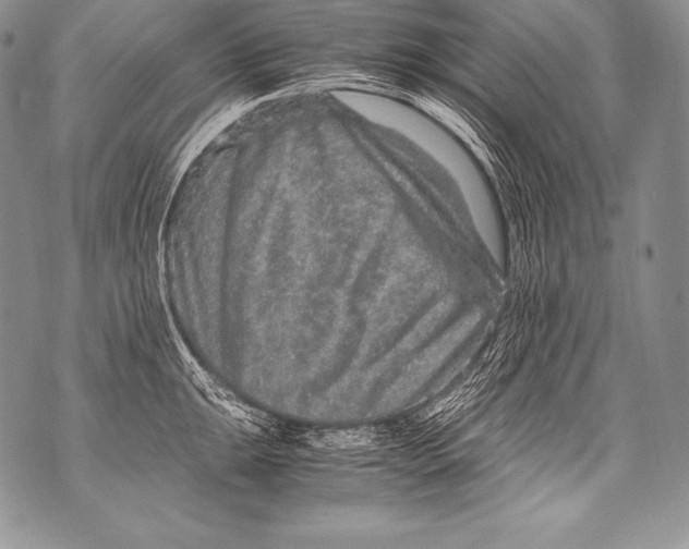 X0000071861047200607290152