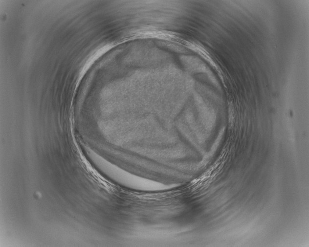 X0000071861048200607290152