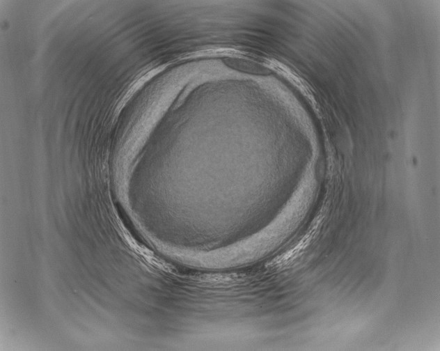 X0000071861049200607290152