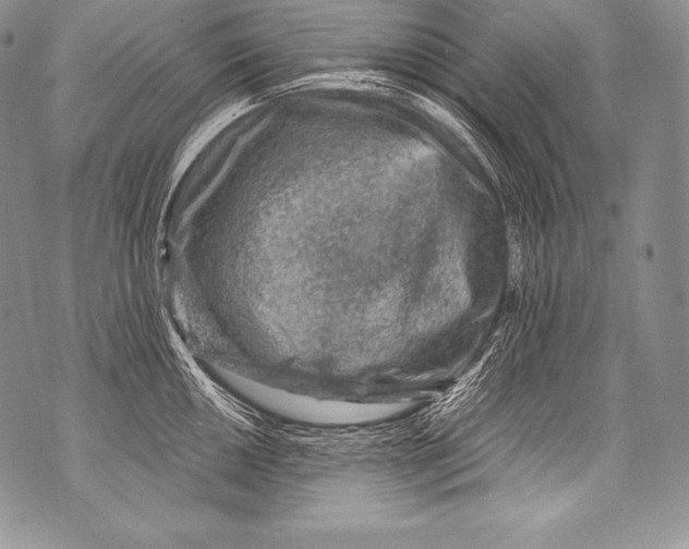 X0000071861050200607290152