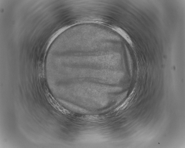 X0000071861052200607290152