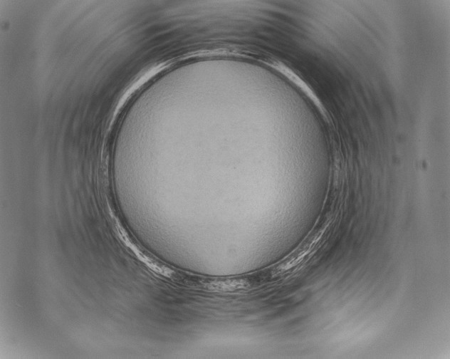 X0000071861053200607290152