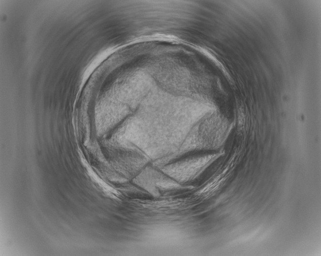 X0000071861054200607290152