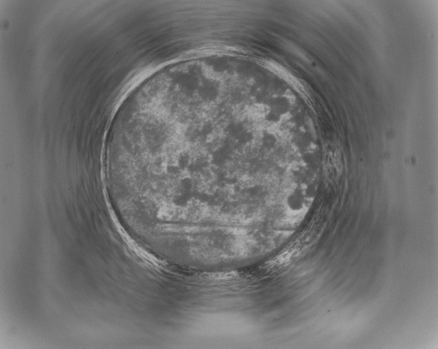 X0000071861055200607290152