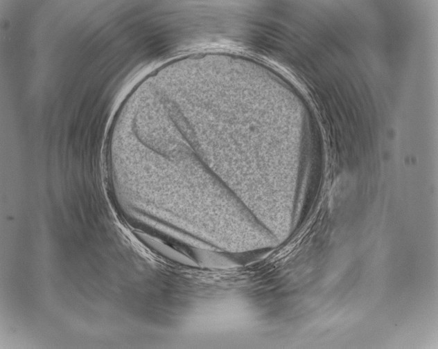 X0000071861056200607290152