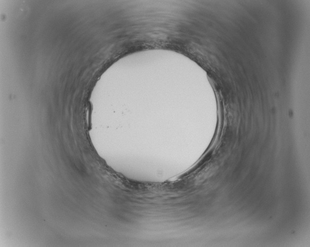 X0000071861057200607290152