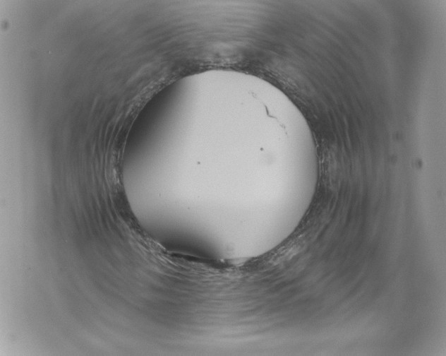 X0000071861058200607290152