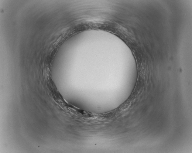 X0000071861061200607290152