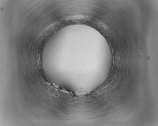 X0000071861062200607290152