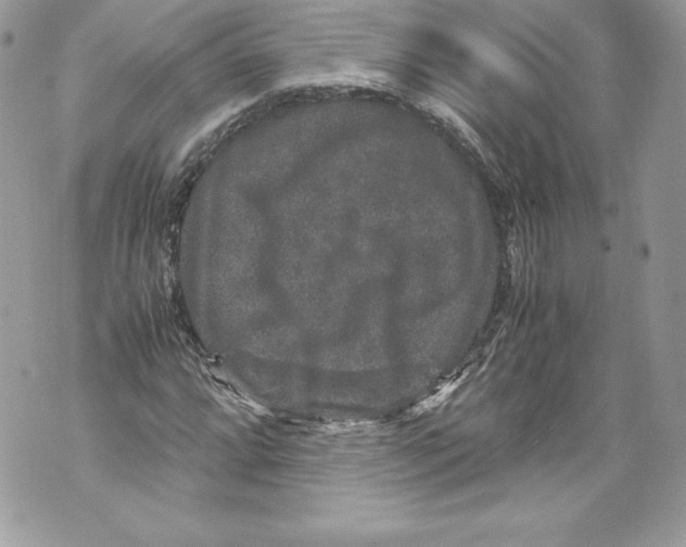 X0000071861064200607290152