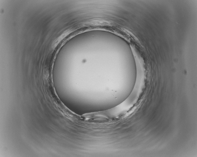 X0000071861065200607290151