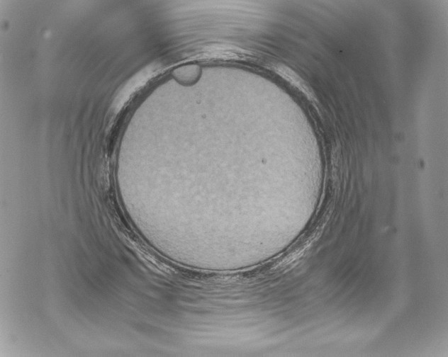 X0000071861067200607290151