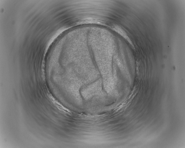 X0000071861068200607290151