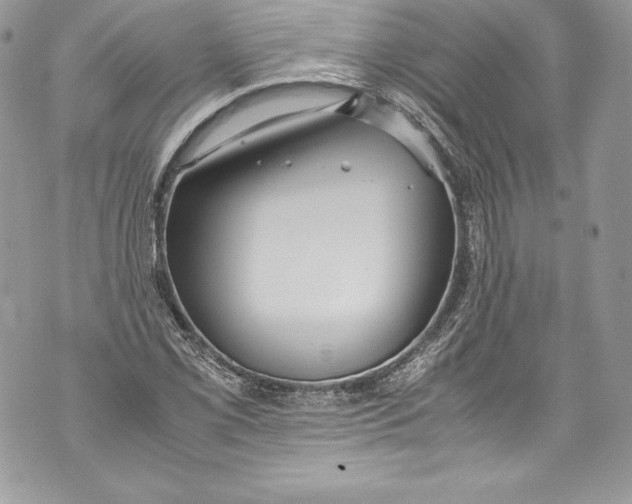 X0000071861069200607290151