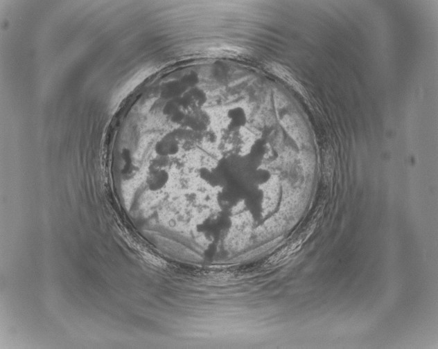 X0000071861071200607290151