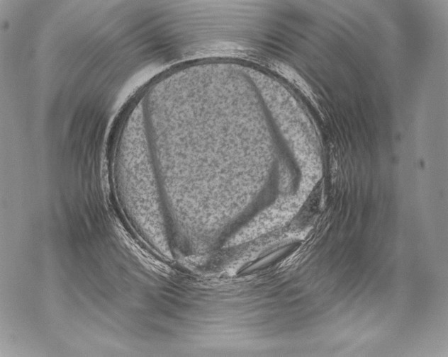 X0000071861072200607290151