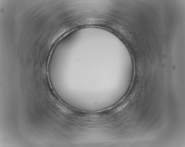 X0000071861073200607290151