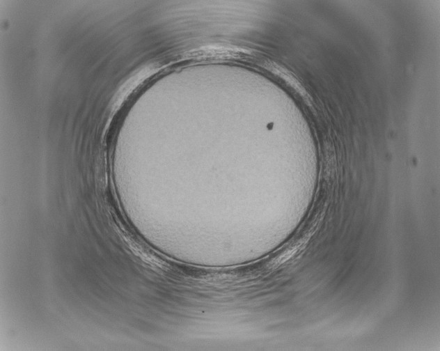 X0000071861075200607290151