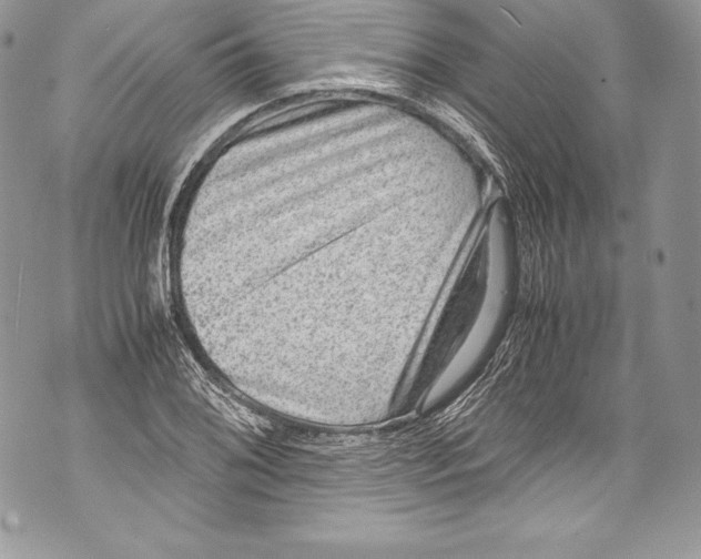 X0000071861076200607290151