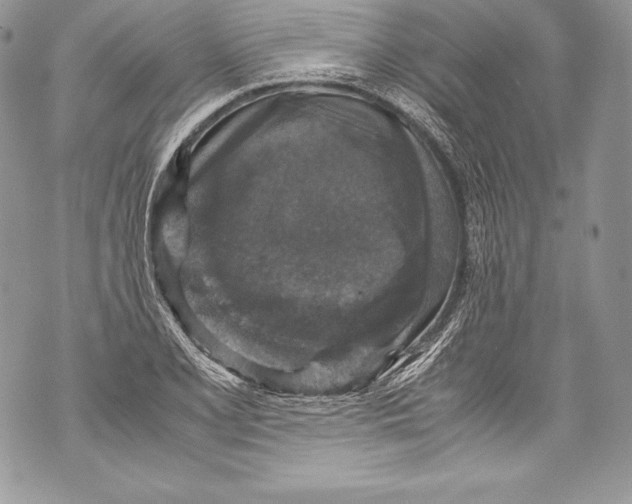 X0000071861077200607290151