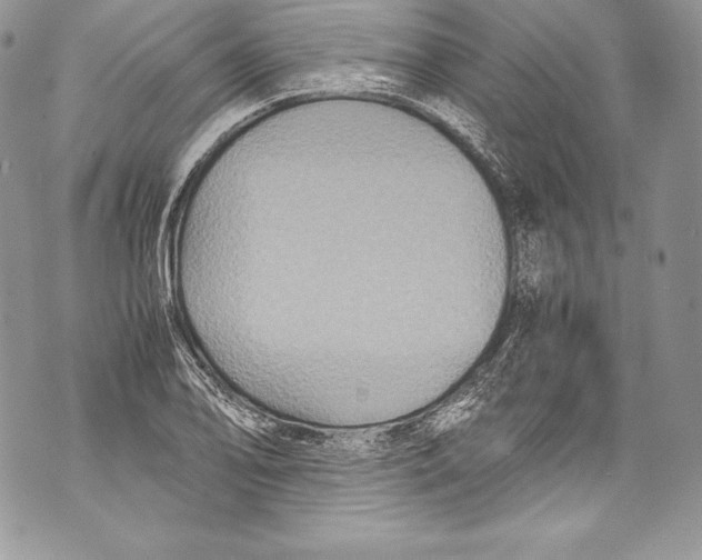 X0000071861078200607290151