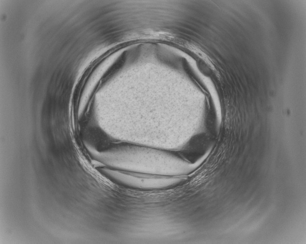 X0000071861080200607290151