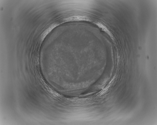 X0000071861081200607290151