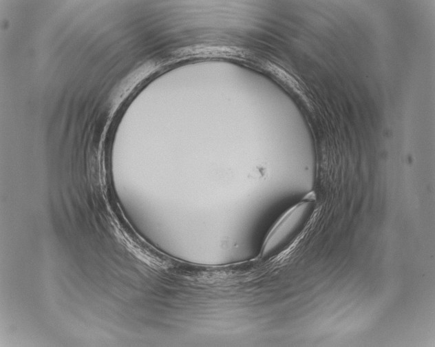 X0000071861082200607290151