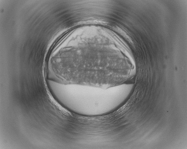 X0000071861084200607290151