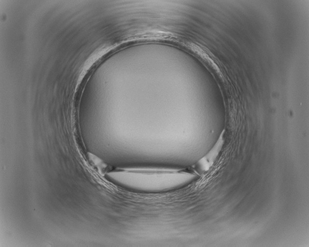 X0000071861085200607290151