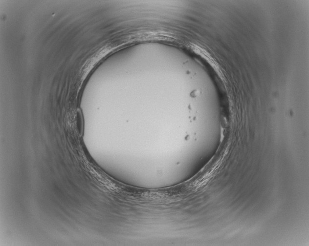 X0000071861089200607290151