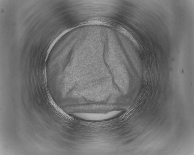 X0000071861092200607290151