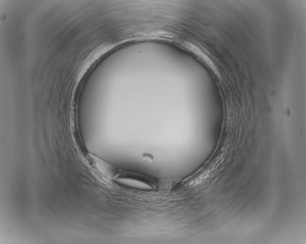 X0000071861093200607290151