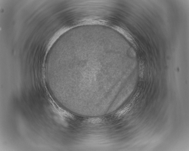 X0000071861094200607290151