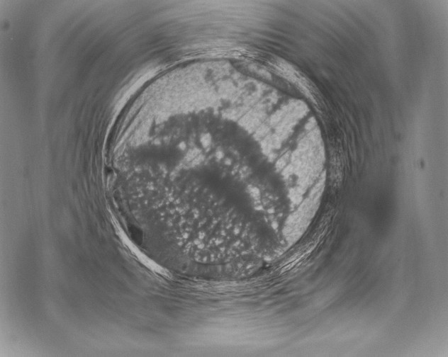 X0000071861095200607290151