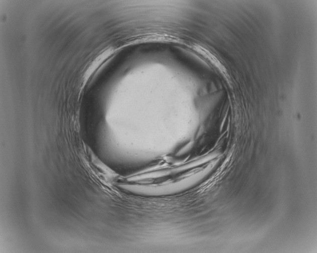 X0000071861097200607290151