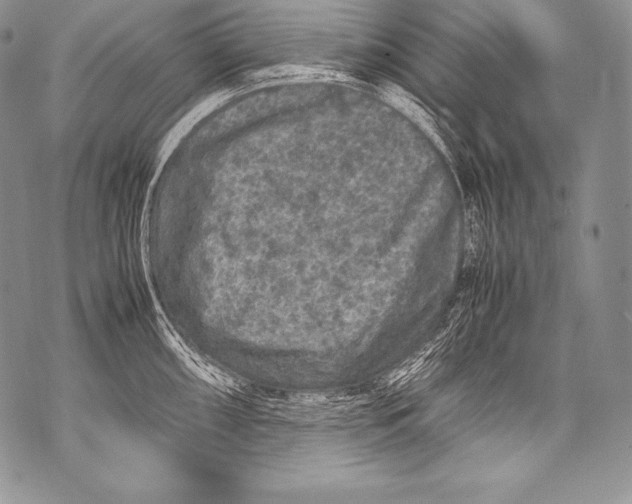 X0000071861098200607290151