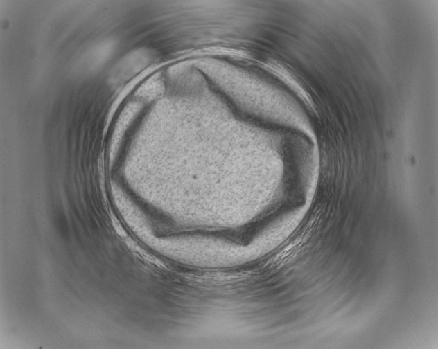 X0000071861100200607290151