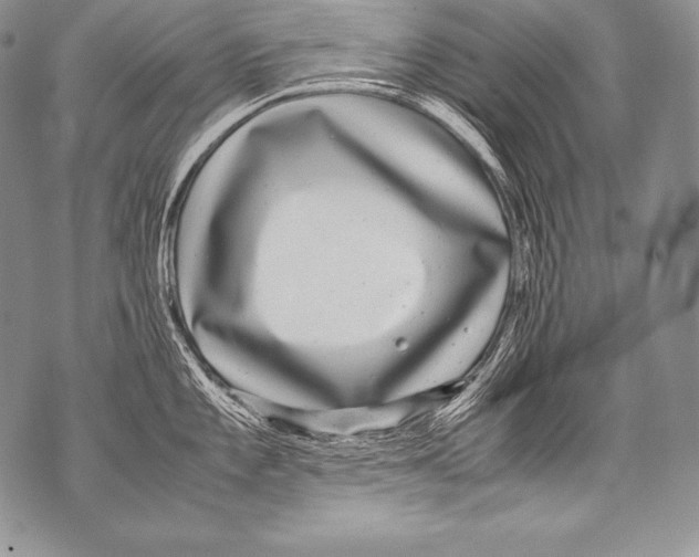 X0000071861101200607290151