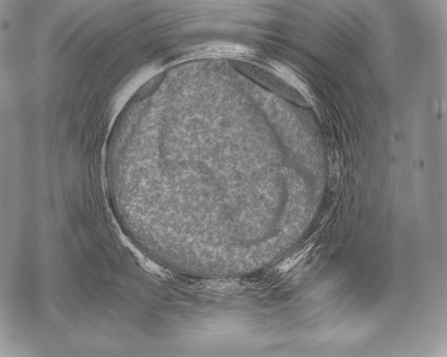 X0000071861103200607290151