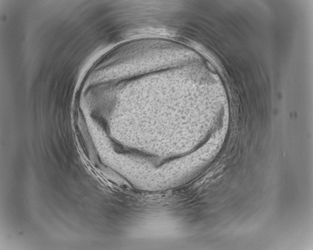 X0000071861104200607290151