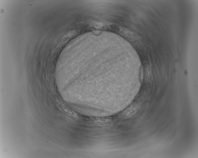 X0000071861105200607290150