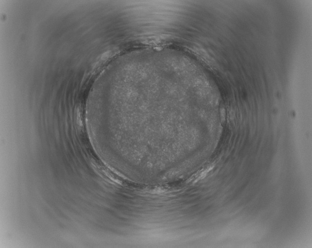 X0000071861106200607290150