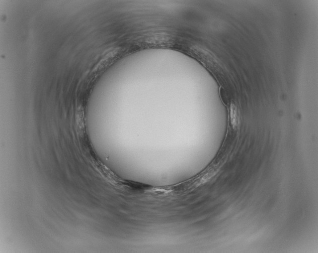 X0000071861107200607290150