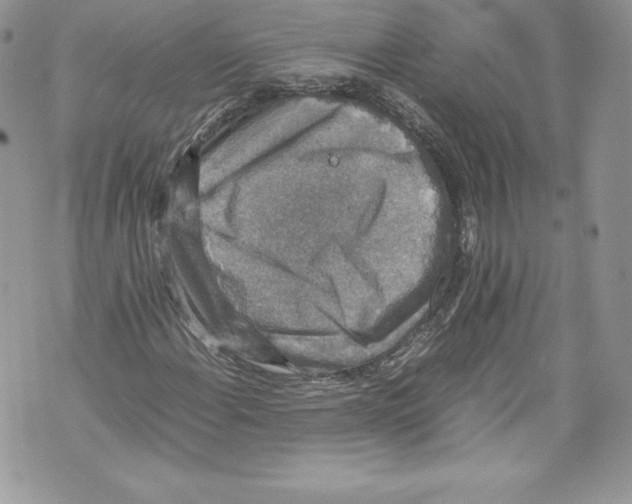 X0000071861108200607290150