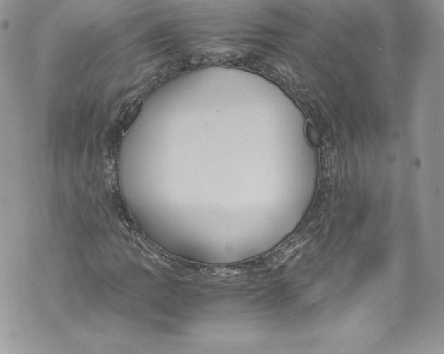 X0000071861109200607290150