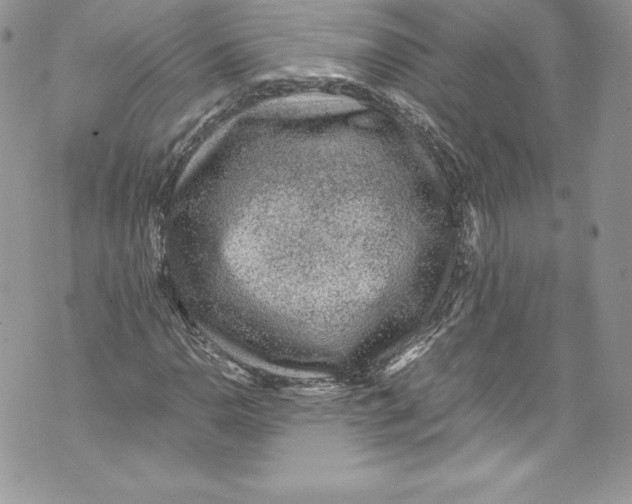 X0000071861110200607290150